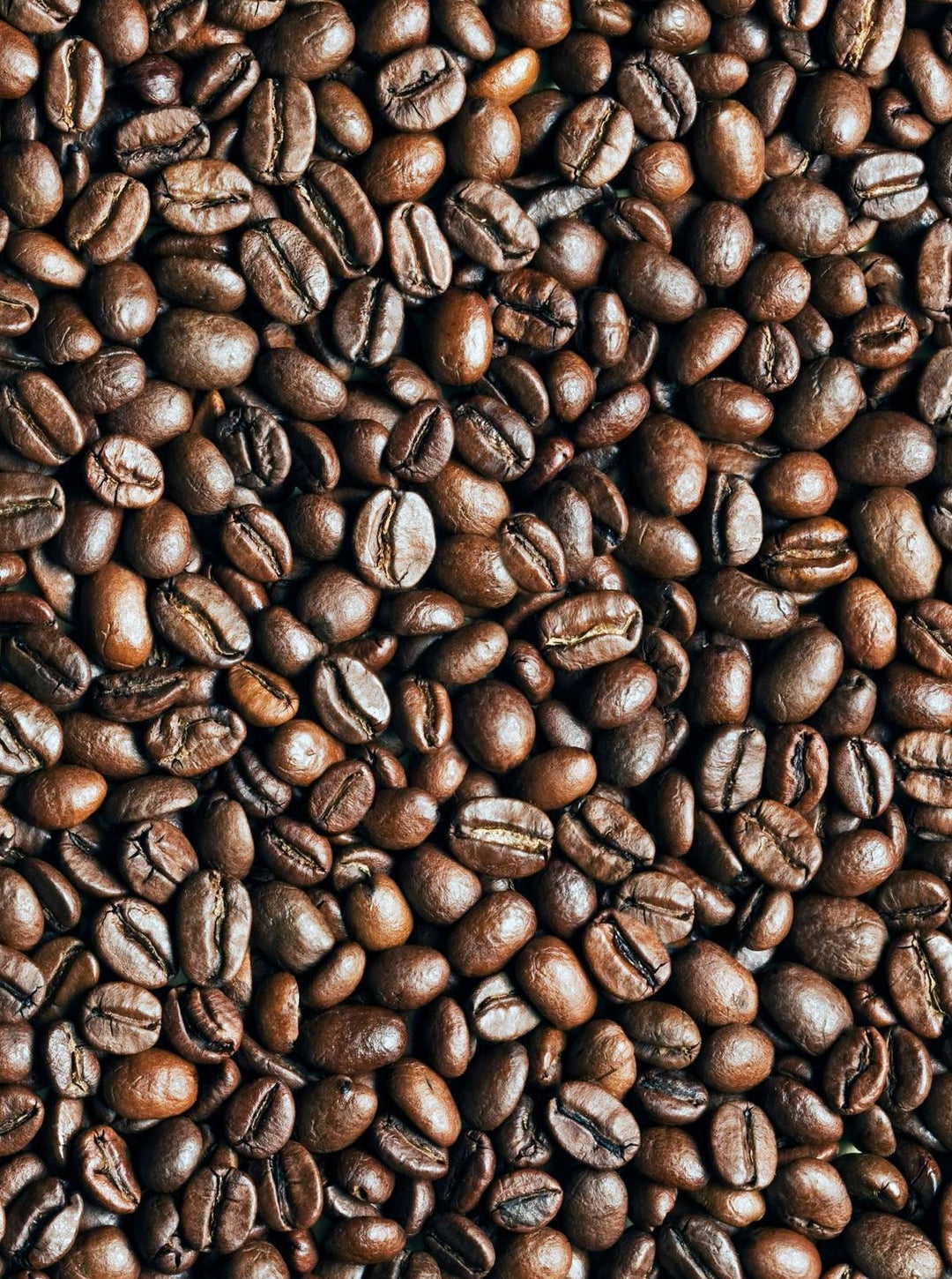 Bahama Blend - Light Roast Coffee Beans