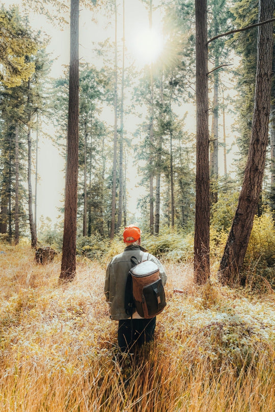 Traveler's Bag